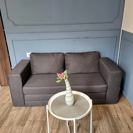 Ozegovic Hotel apartamentowy Belgrad